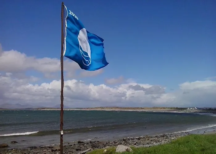 Croagh Patrick Vandrerhjem